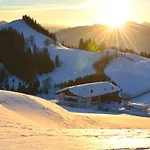 Bergapart Goetschl 아파트