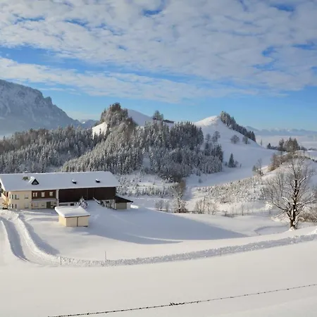 Bergapart Goetschl 公寓