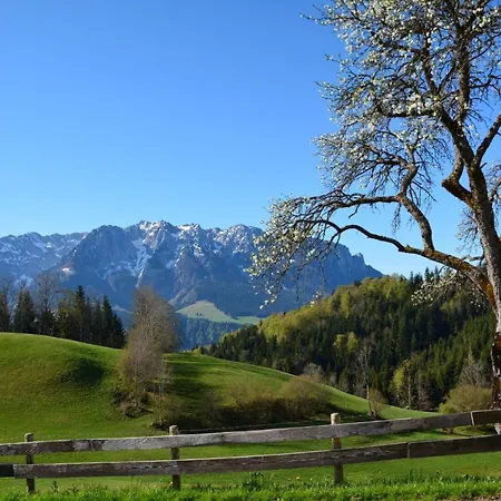 Апартаменты Bergapart Goetschl *