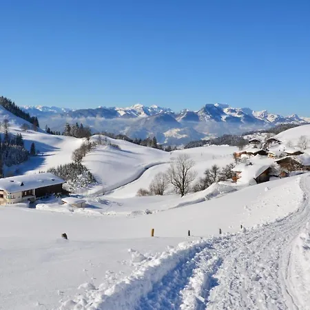 Bergapart Goetschl Rettenschoss