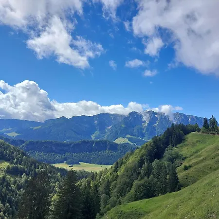 Bergapart Goetschl *