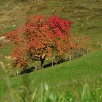 Bergapart Goetschl *