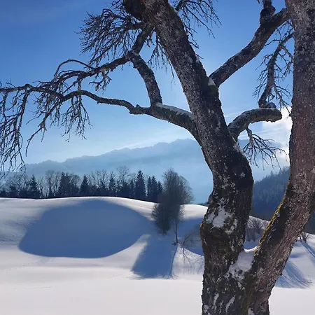 Apartmán Bergapart Goetschl Rettenschöss