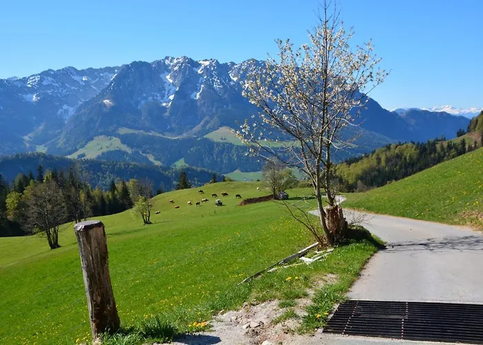 Apartament Bergapart Goetschl *