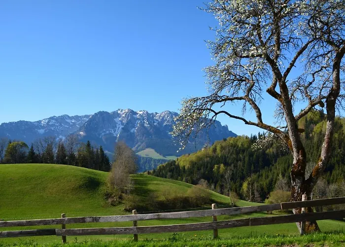 Apartmán Bergapart Goetschl *