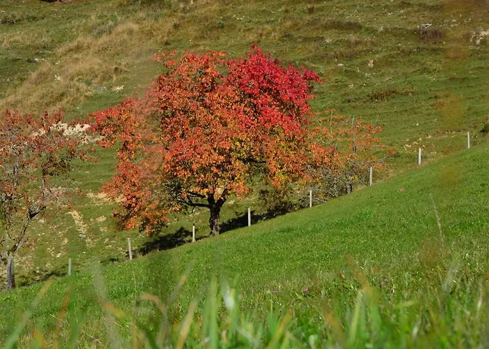 Bergapart Goetschl *