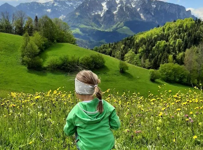 Bergapart Goetschl Apartmán