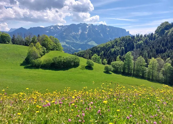 Bergapart Goetschl *