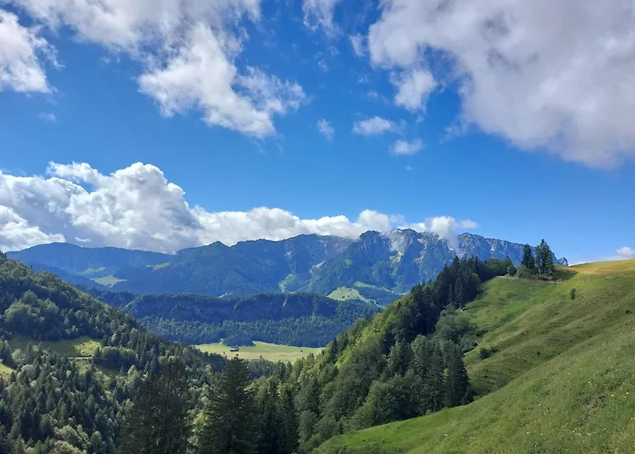 Bergapart Goetschl *