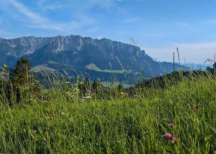 Bergapart Goetschl Apartmán