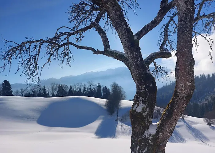 Apartmán Bergapart Goetschl Rettenschöss