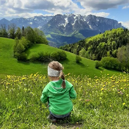 Bergapart Götschl Apartment