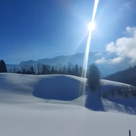 Apartment Bergapart Götschl